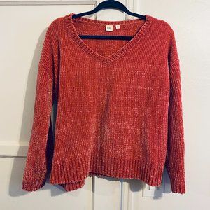 Gap Sweater